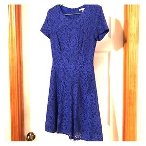 Lace Cobalt Blue Dress